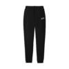Dunkologist™ Logo Jogger